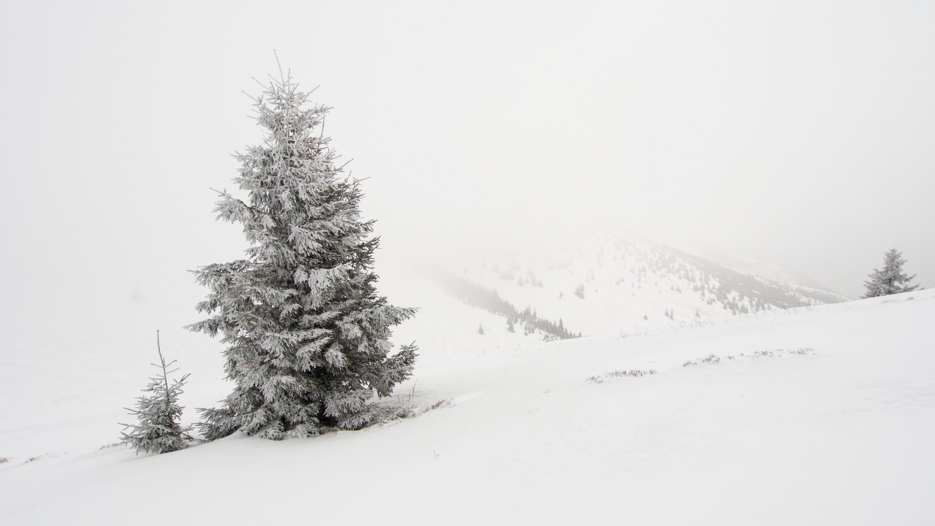 Ktoś przemalował niebo na biało