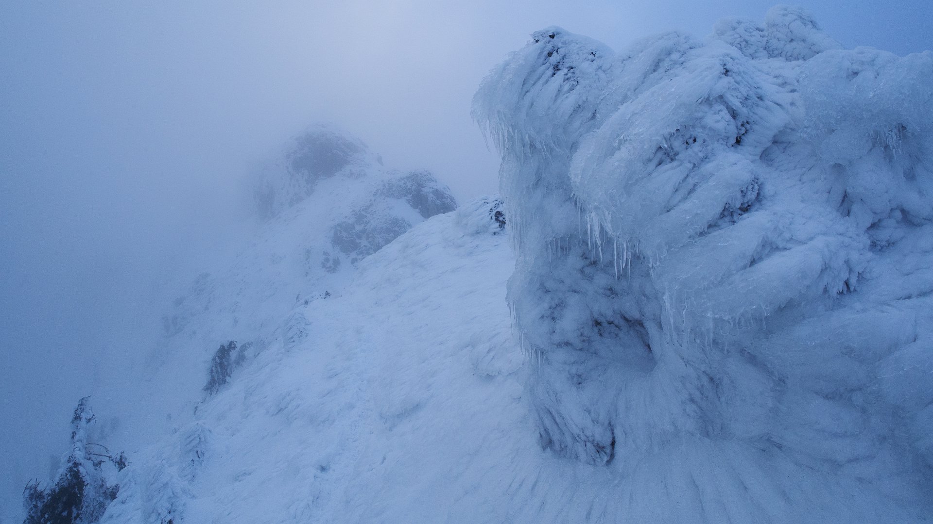  ...jak zejść na dół w tym mleku i jechać do domu