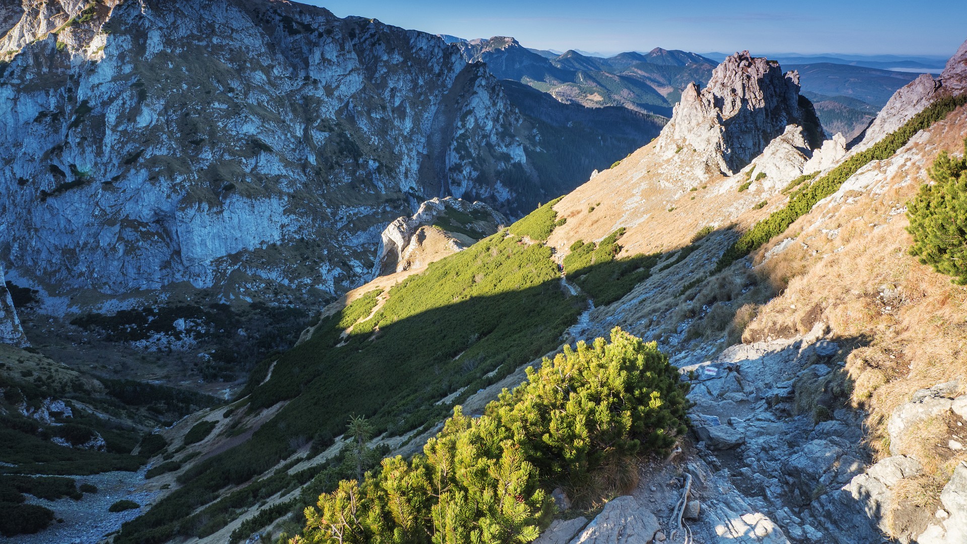 Szlak w kierunku Grzybowca i Doliny Strążysk