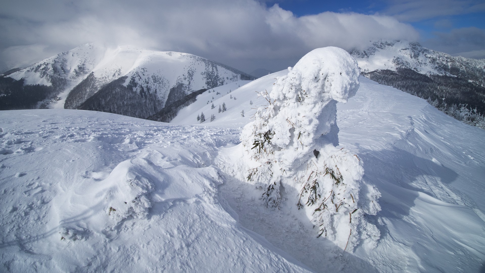Stoh i Wielki Rozsutec widziany z Ośnicy
