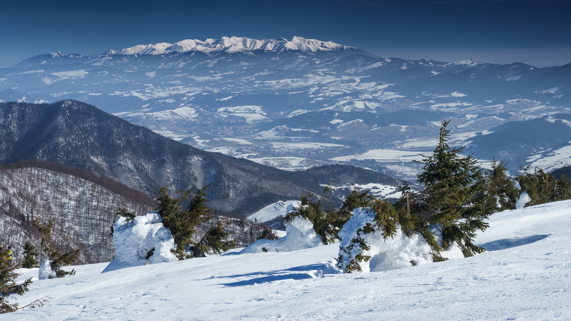 Tatry widziane ze Stoha