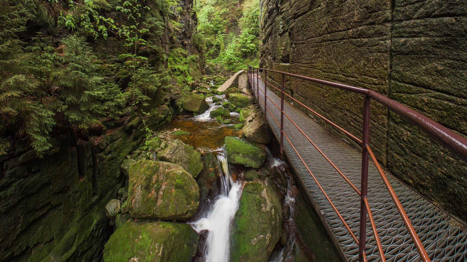 Wąwóz Kamieńczyka