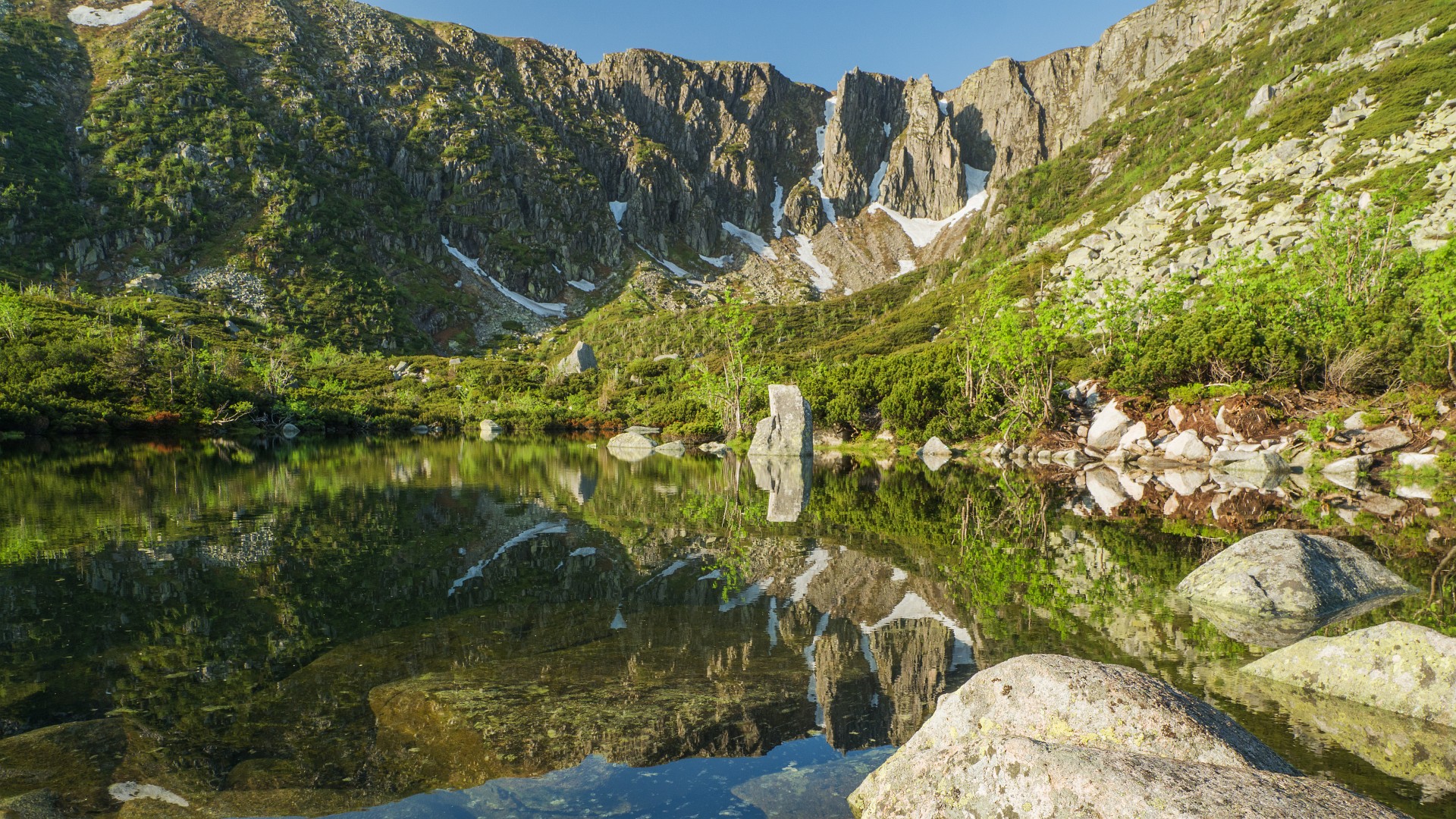 Nad brzegiem Śnieżnego Stawku